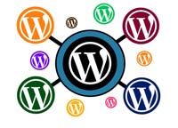 WordPress multisite wp-config.php