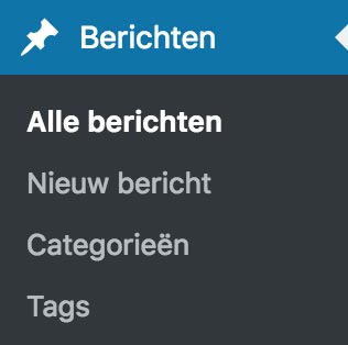 Berichten in WordPress