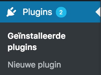 Plugins in WordPress
