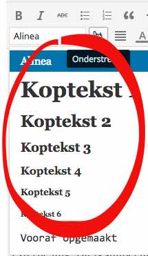 H1 tot H6 koppen in WordPress