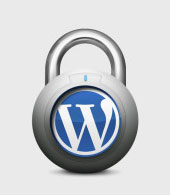 Wordpress website problemen